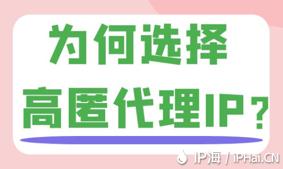 為何選擇高匿代理IP？